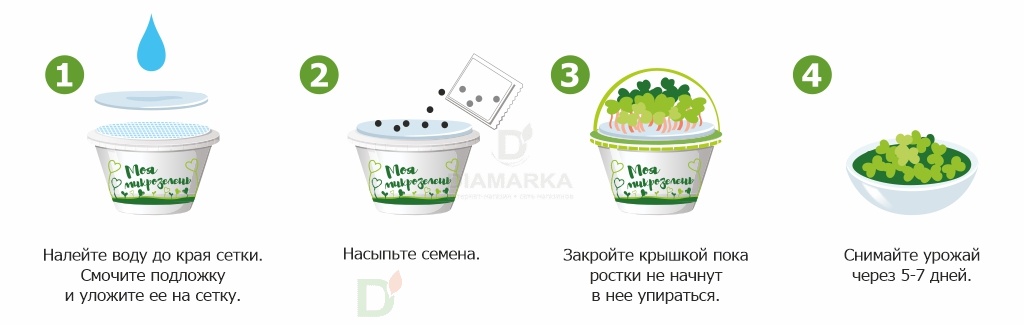 Набор для выращивания Здоровья клад Базилик