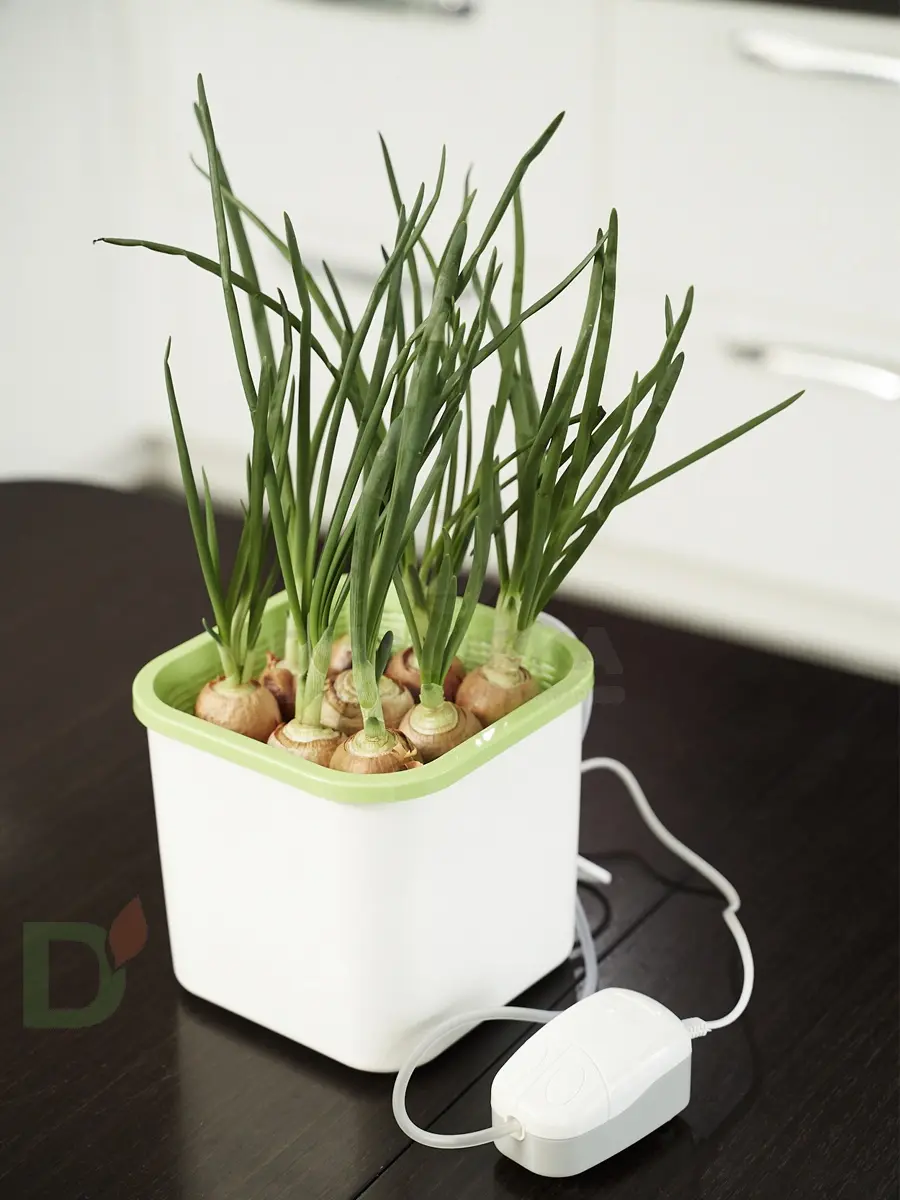 Проращиватель Здоровья клад 1х помповый